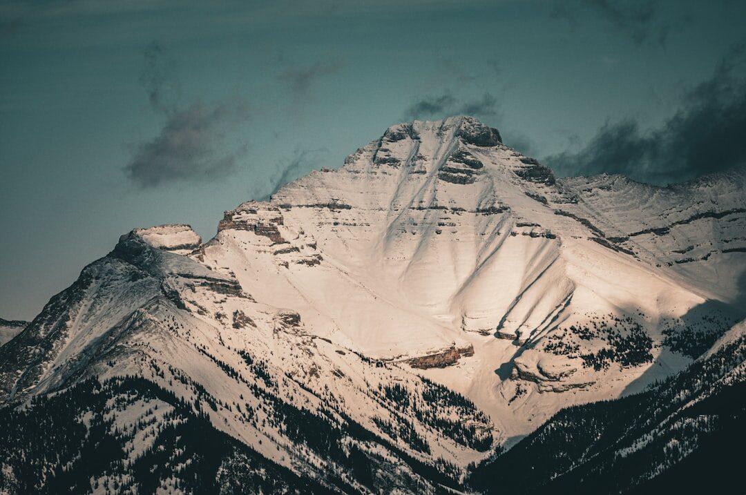 Campanha de anúncios de marketing digital