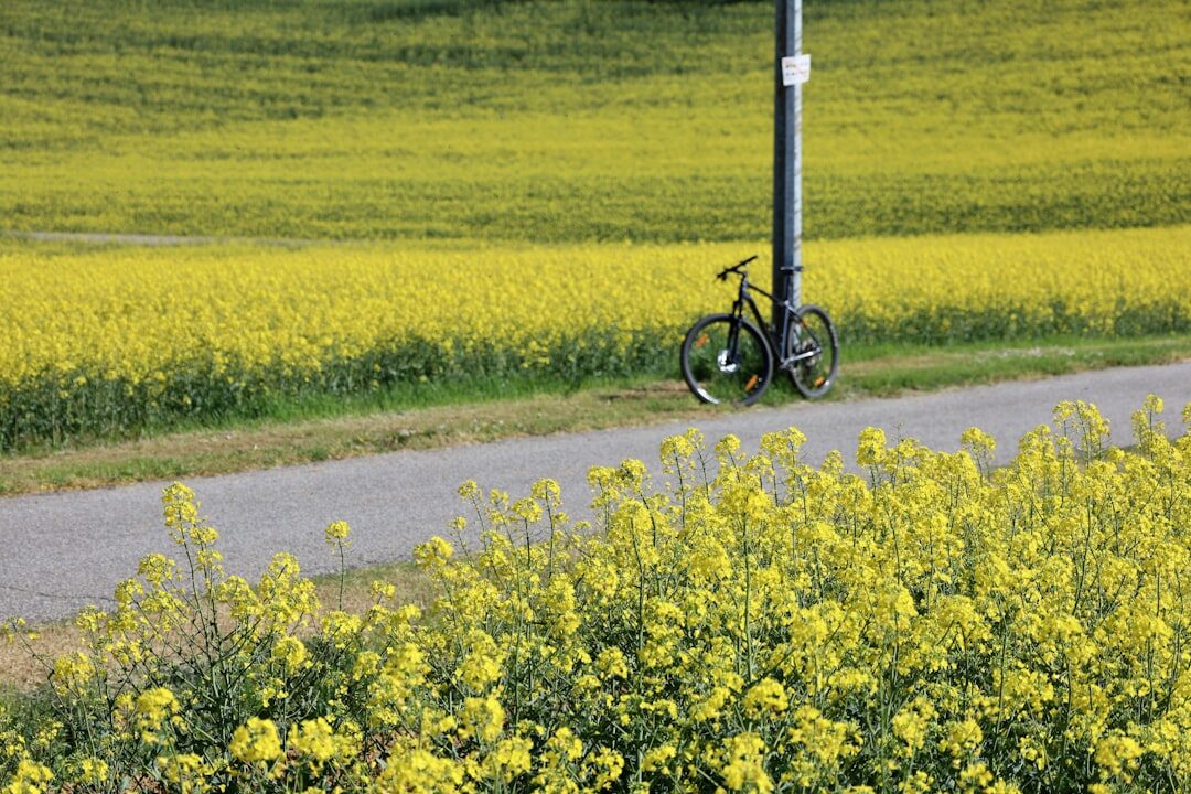 Campanha de marketing ecológica
