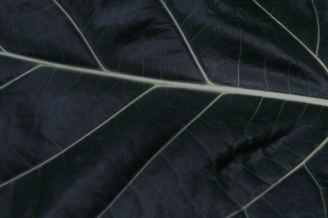 Entendendo o que é Tráfego Pago Entendendo o que é Tráfego Pago