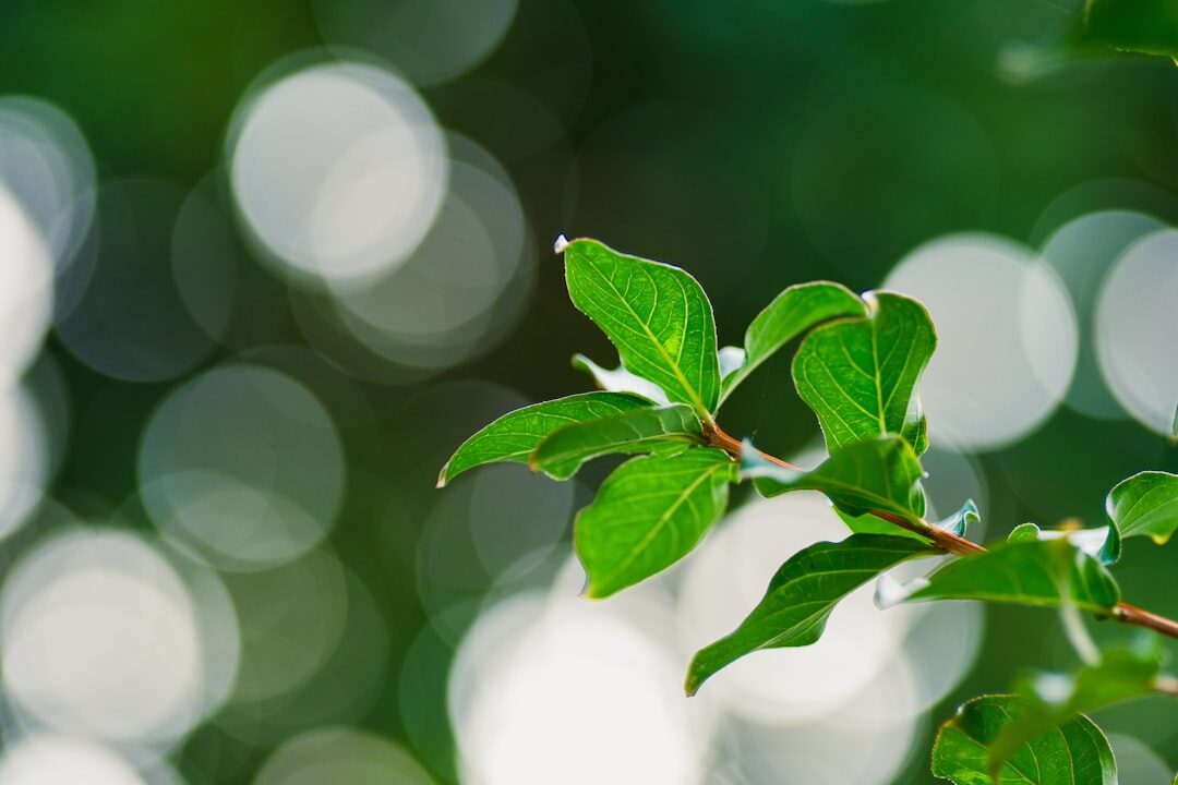 Iniciativas de marketing sustentável