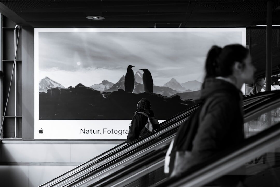 Layout moderno de design de site