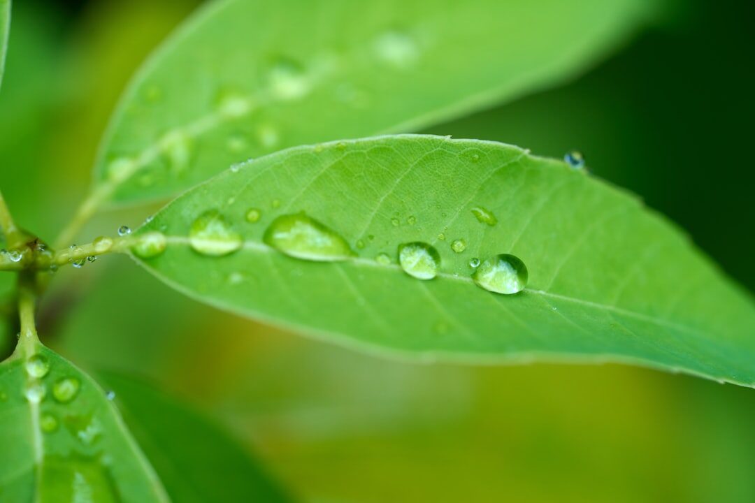 Práticas de desenvolvimento web sustentáveis