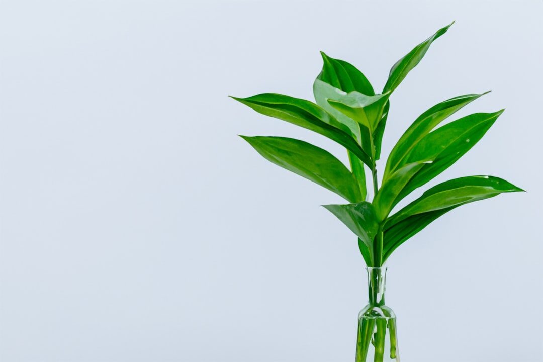 Práticas de marketing sustentável