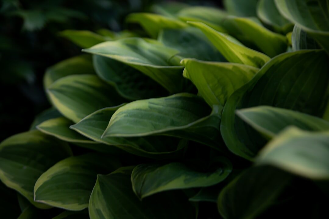 Práticas de marketing sustentável