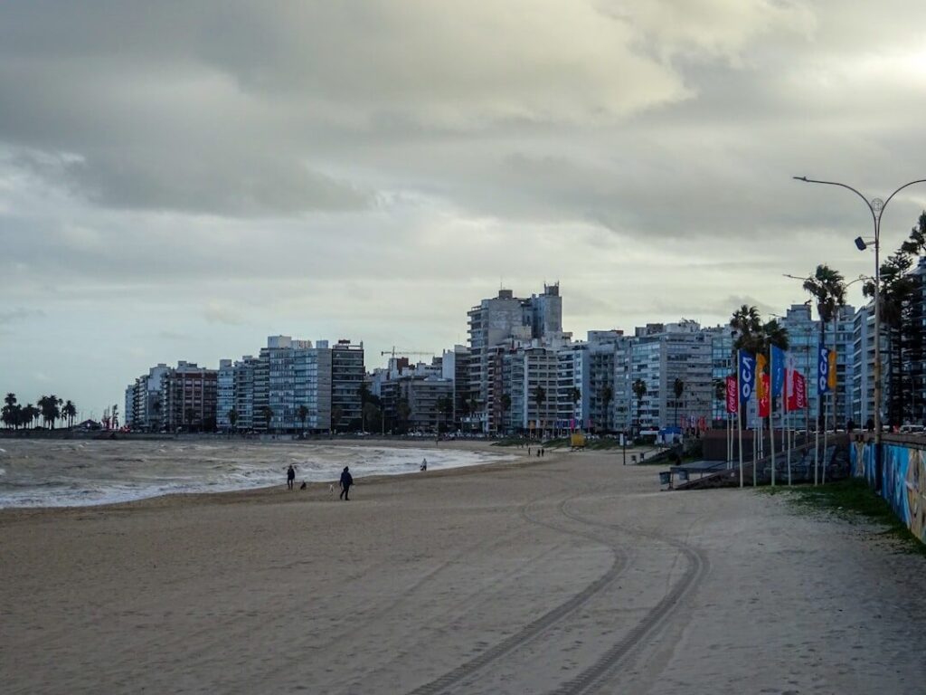 Resumo ultimas noticias em porto belo santa catarina
