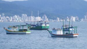 Agencia de marketing em porto belo