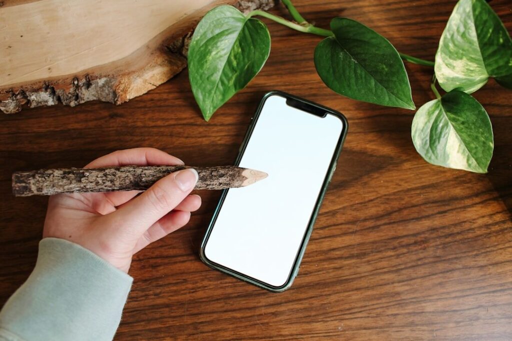 Criação de Web Sites