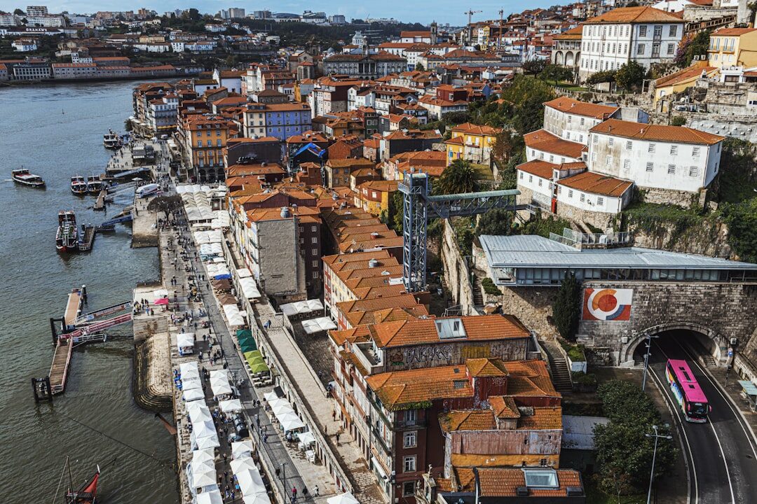 Porto Belo em destaque com negócios vibrantes