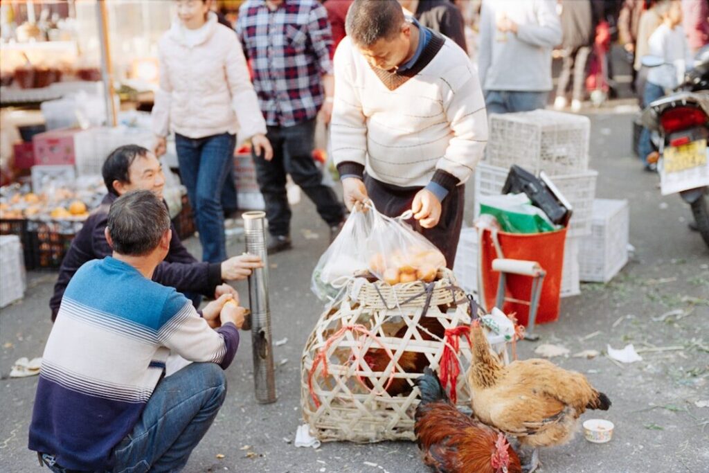 Agencia de marketing em porto belo