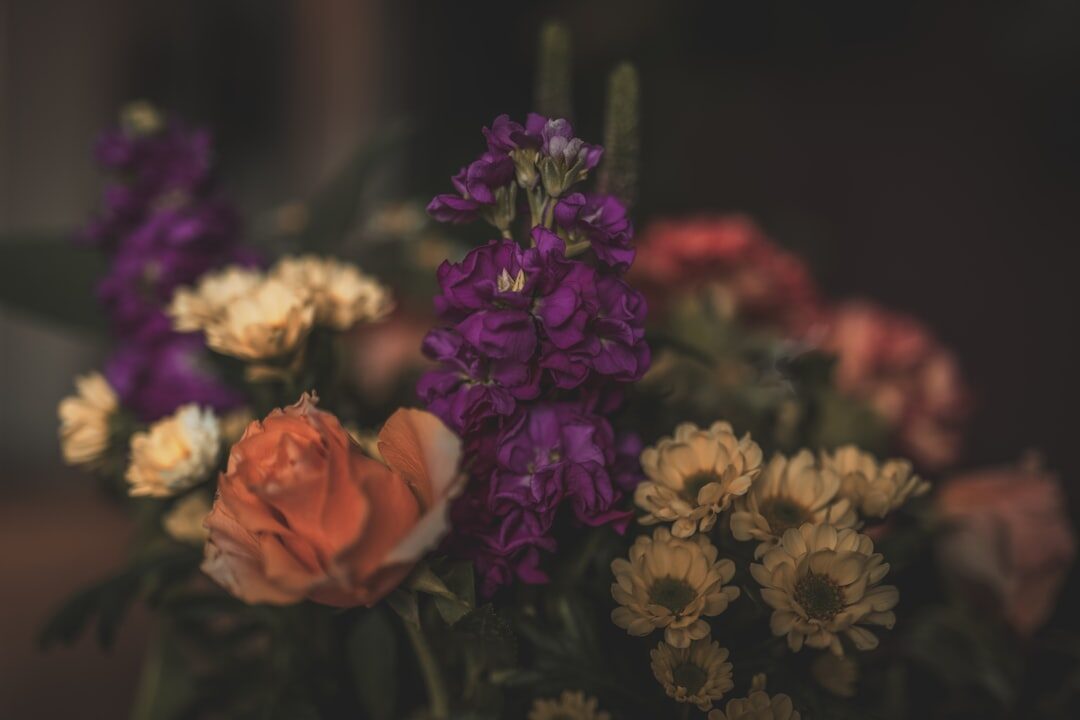 Promoção de mídias sociais para florista